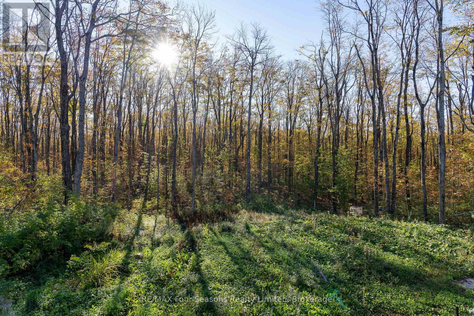 589108 Grey Road 19, Blue Mountains, Ontario  N0H 2E0 - Photo 46 - X12443335