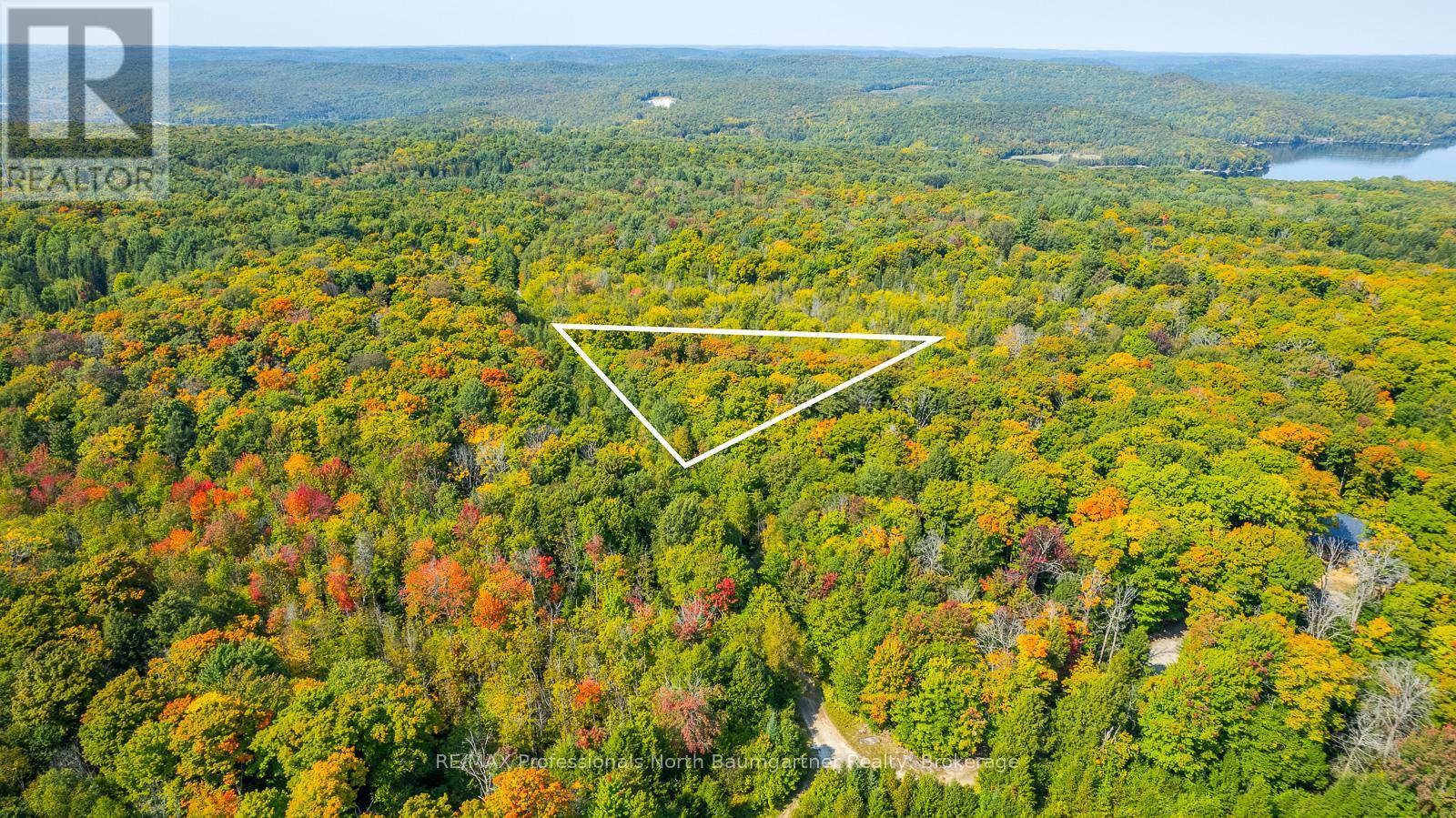 Lot 49 Basshaunt Lake Road, Dysart Et Al, Ontario  K0M 1M0 - Photo 1 - X12443370
