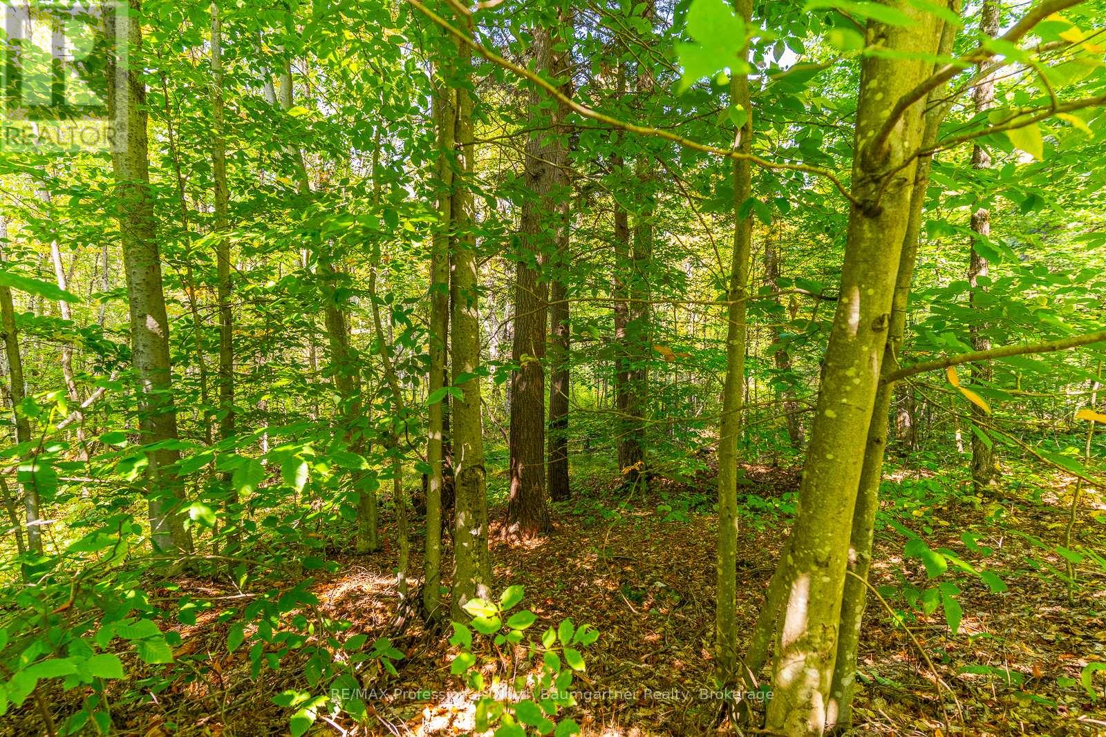 Lot 49 Basshaunt Lake Road, Dysart Et Al, Ontario  K0M 1M0 - Photo 10 - X12443370