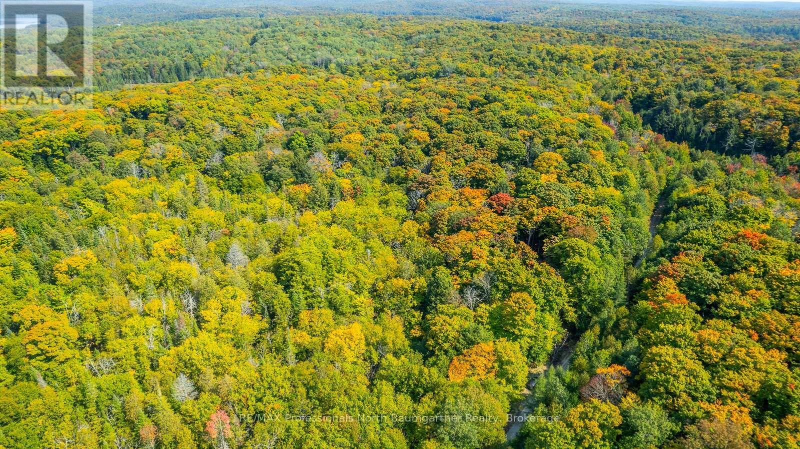 Lot 49 Basshaunt Lake Road, Dysart Et Al, Ontario  K0M 1M0 - Photo 11 - X12443370