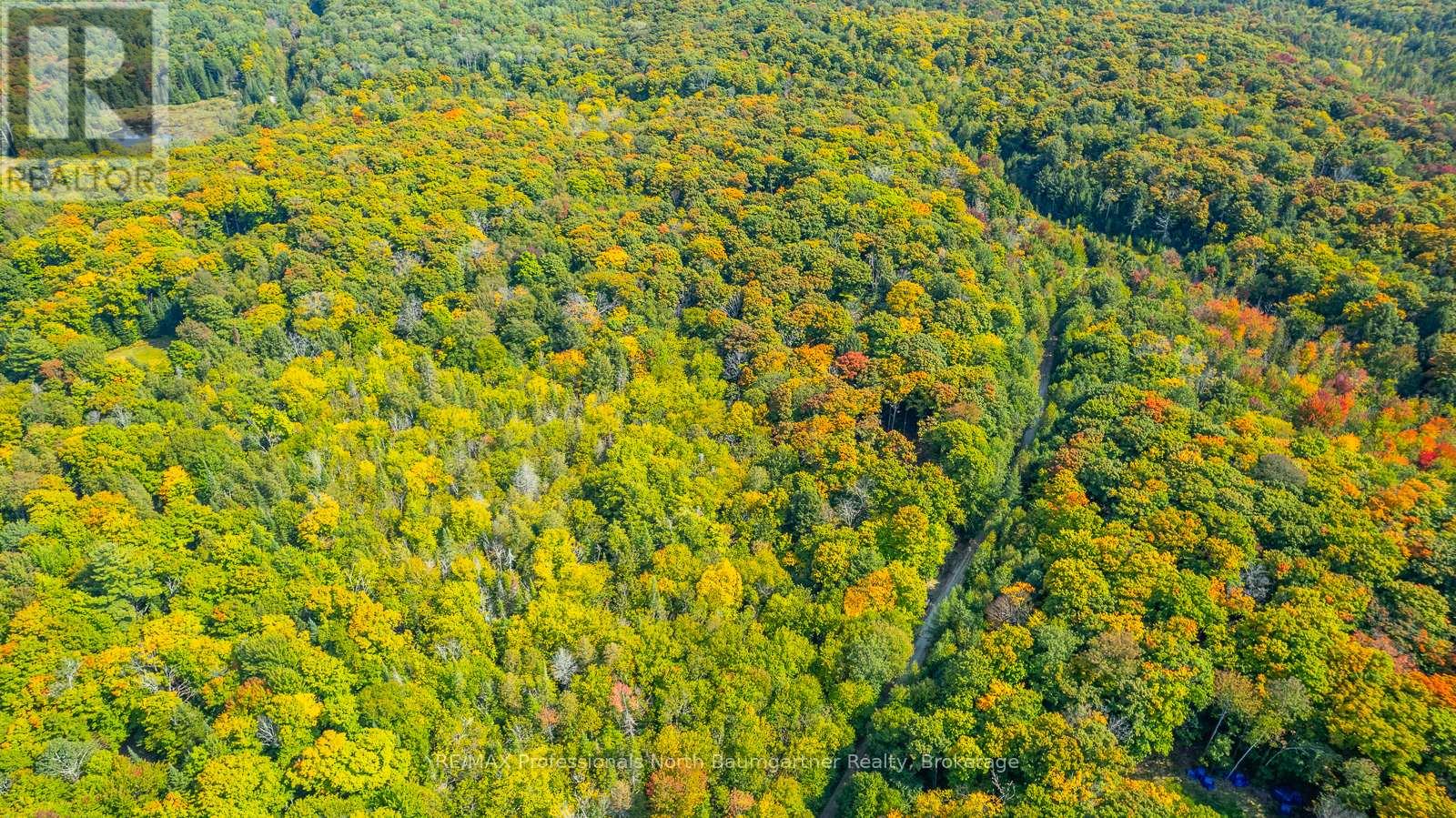 Lot 49 Basshaunt Lake Road, Dysart Et Al, Ontario  K0M 1M0 - Photo 13 - X12443370