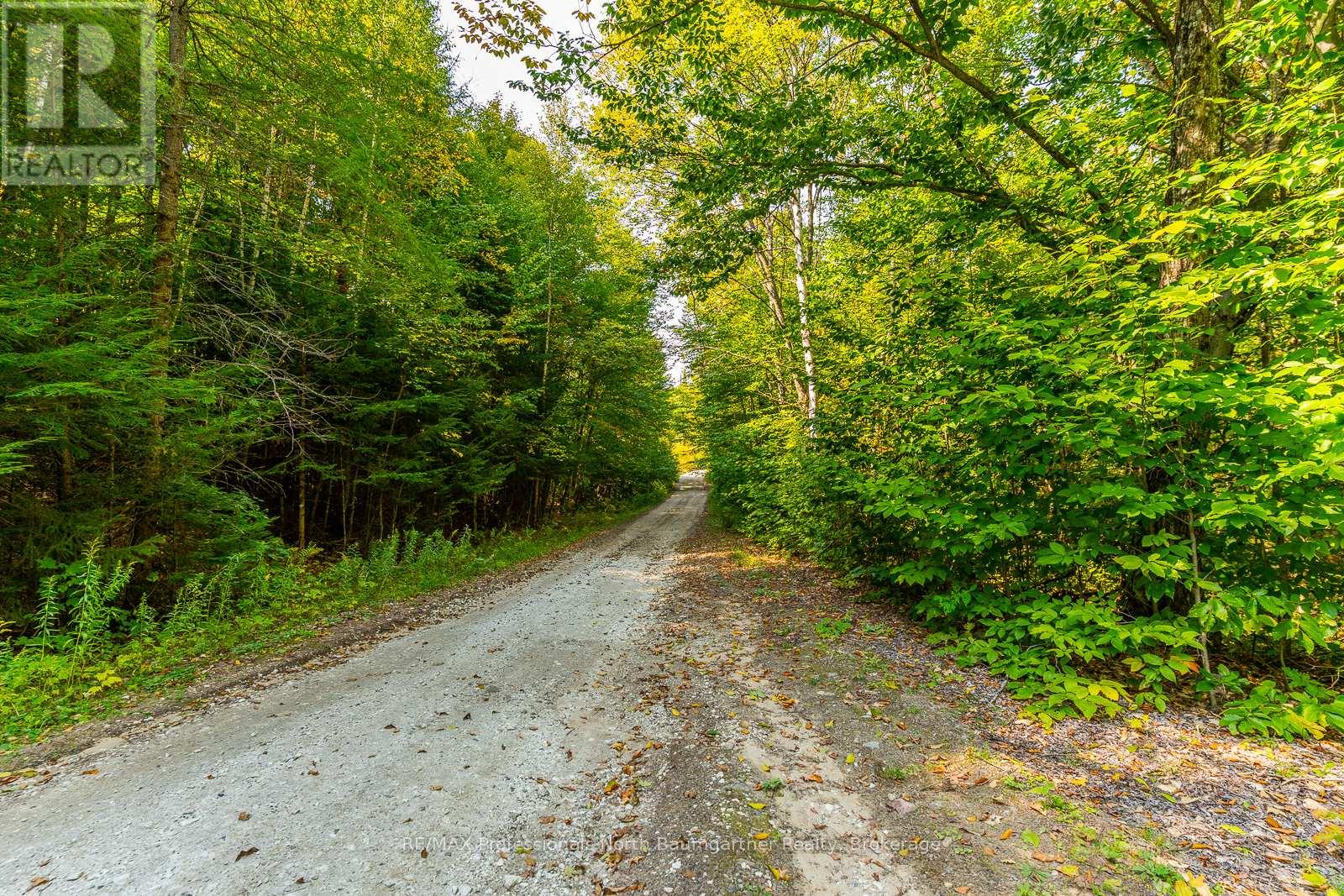 Lot 49 Basshaunt Lake Road, Dysart Et Al, Ontario  K0M 1M0 - Photo 3 - X12443370
