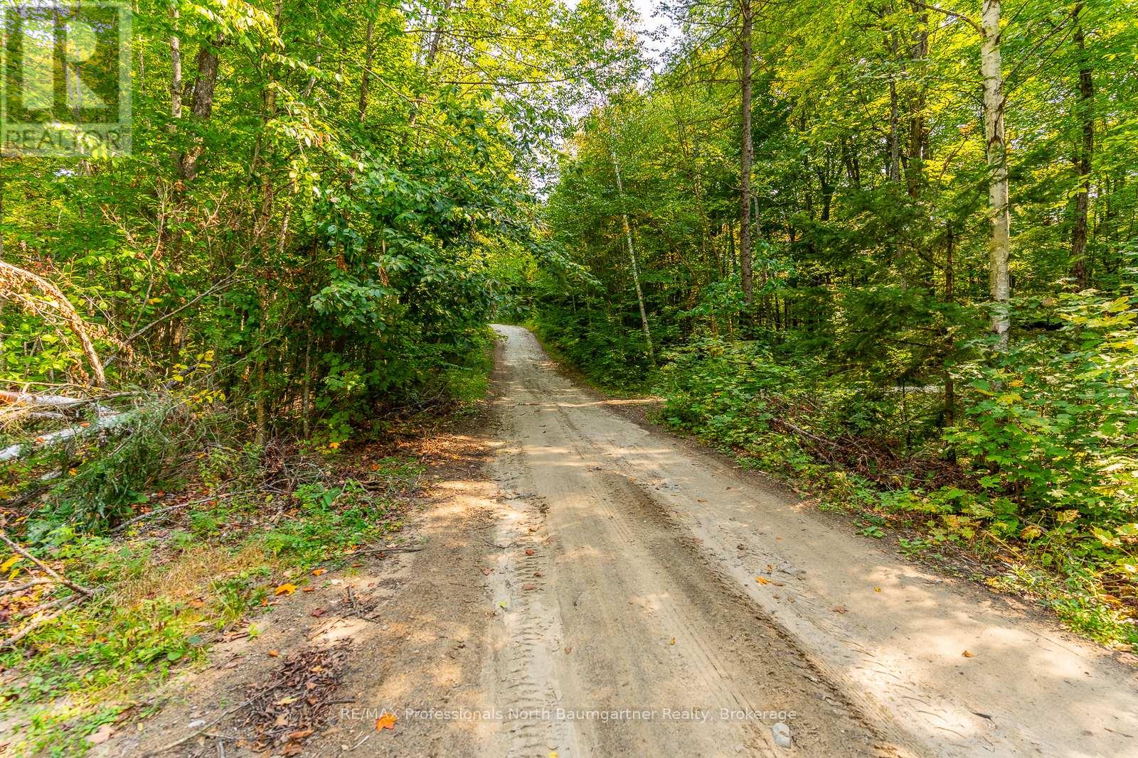 Lot 49 Basshaunt Lake Road, Dysart Et Al, Ontario  K0M 1M0 - Photo 5 - X12443370