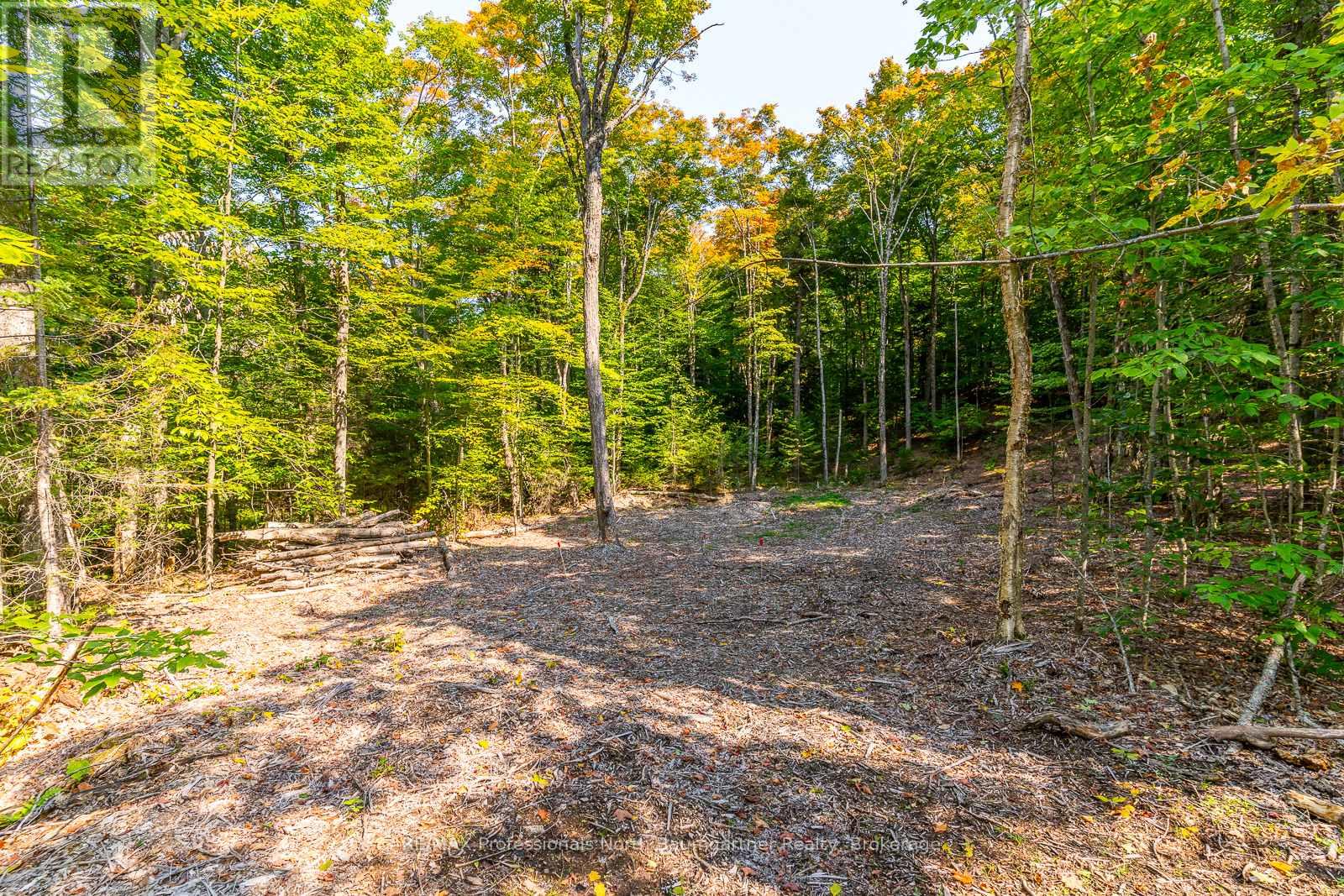 Lot 49 Basshaunt Lake Road, Dysart Et Al, Ontario  K0M 1M0 - Photo 6 - X12443370