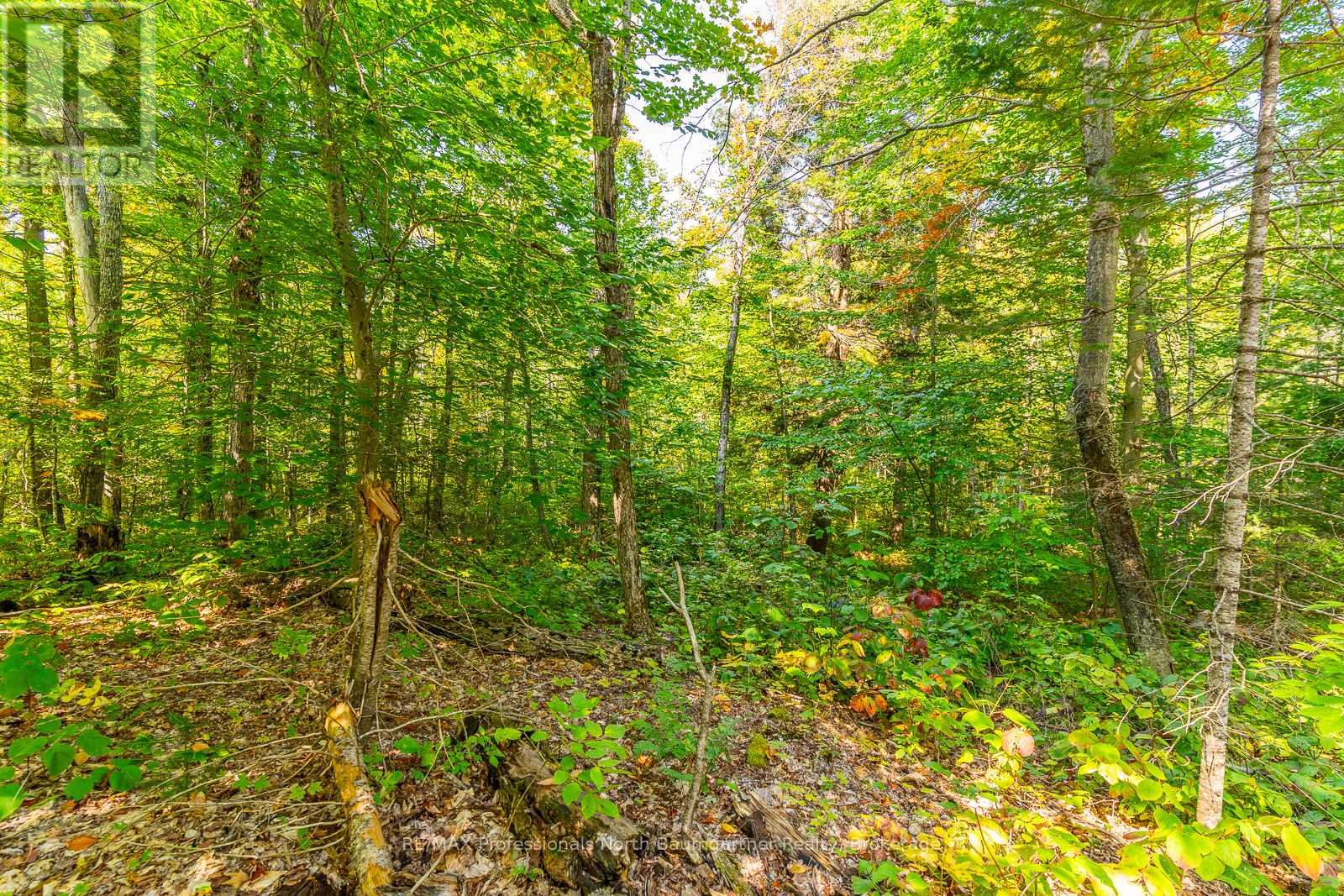 Lot 49 Basshaunt Lake Road, Dysart Et Al, Ontario  K0M 1M0 - Photo 8 - X12443370