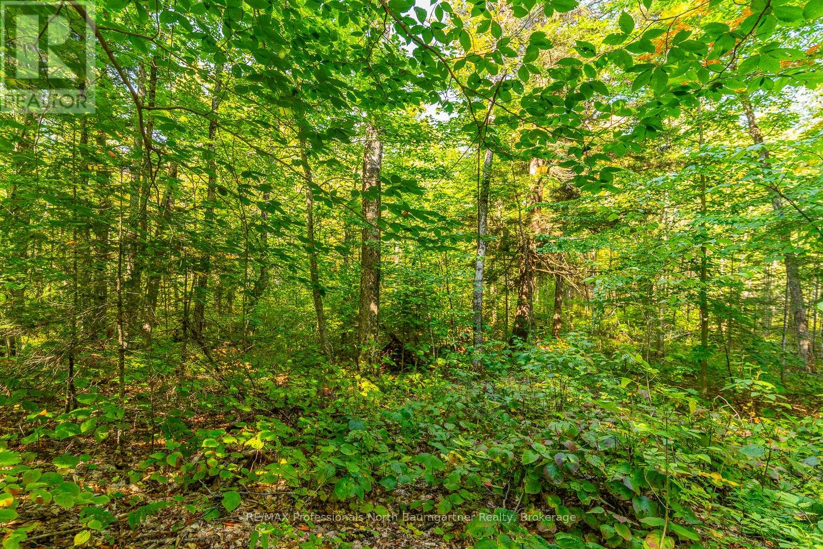 Lot 49 Basshaunt Lake Road, Dysart Et Al, Ontario  K0M 1M0 - Photo 9 - X12443370