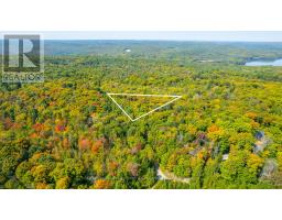 LOT 49 BASSHAUNT LAKE ROAD, dysart et al (guilford), Ontario