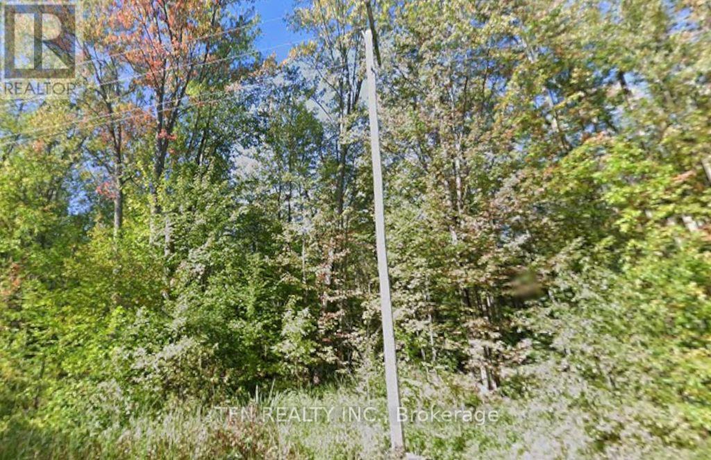 3676 Sideroad 20 Road, Ramara, Ontario  L0K 1B0 - Photo 1 - S12443144
