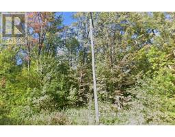 3676 SIDEROAD 20 ROAD, Ramara, Ontario