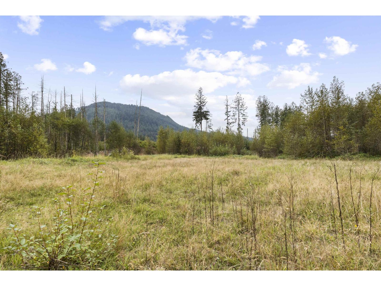 32482 Dewdney Trunk Road, Mission, British Columbia  V2V 7E8 - Photo 4 - C8072719
