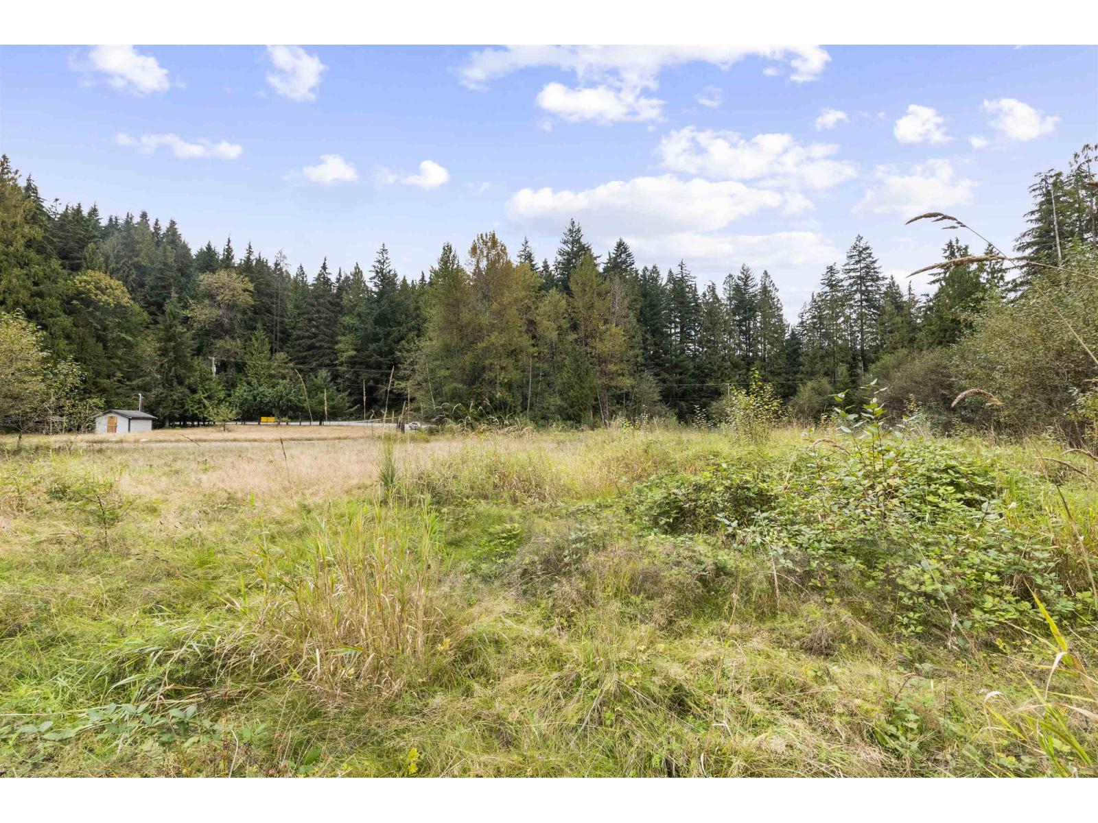 32482 Dewdney Trunk Road, Mission, British Columbia  V2V 7E8 - Photo 8 - C8072719