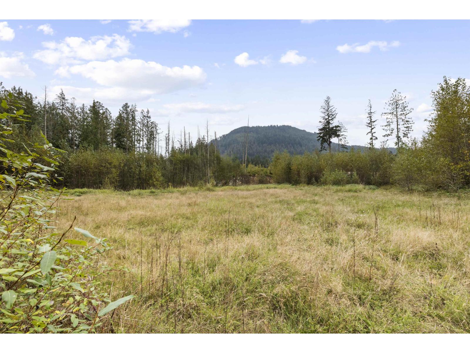 32482 Dewdney Trunk Road, Mission, British Columbia  V2V 7E8 - Photo 5 - C8072719