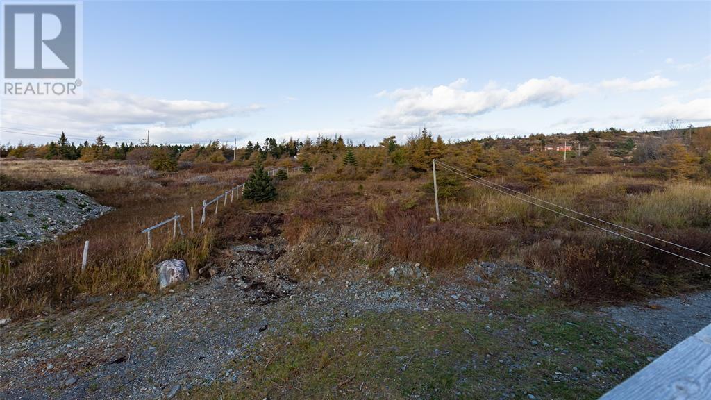 19 Boat Cove Road, Renews, Newfoundland & Labrador  A0A 3N0 - Photo 42 - 1291161