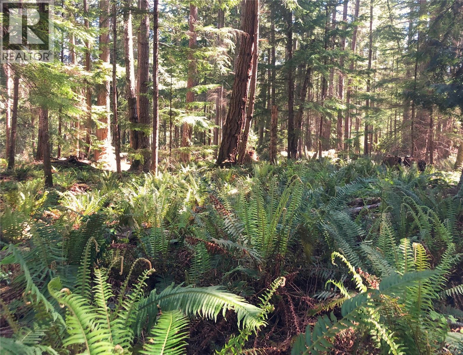 9121 Keith Wagner Way, Denman Island, British Columbia  V0R 1T0 - Photo 37 - 999854