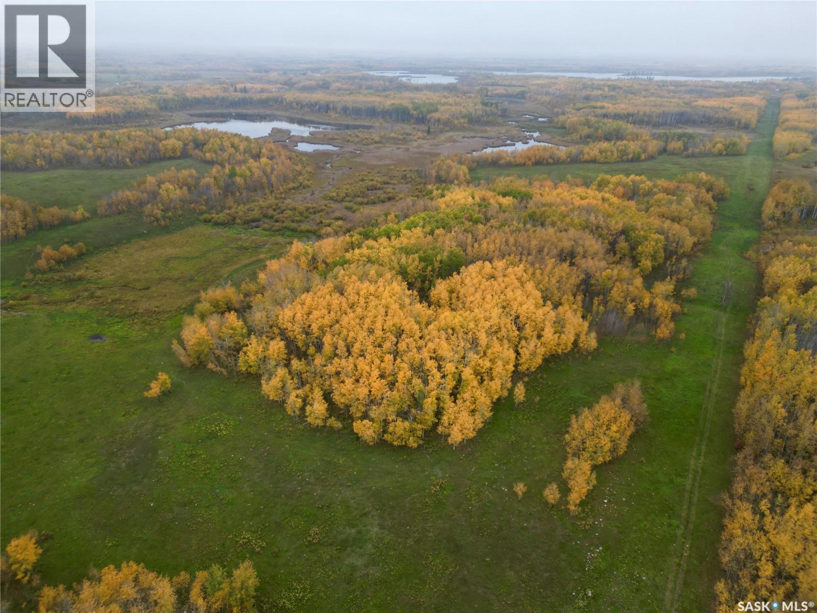 Larson Lake Ranch & Lakefront Property, Spiritwood Rm No. 496, Saskatchewan  S0J 2M0 - Photo 43 - SK996760