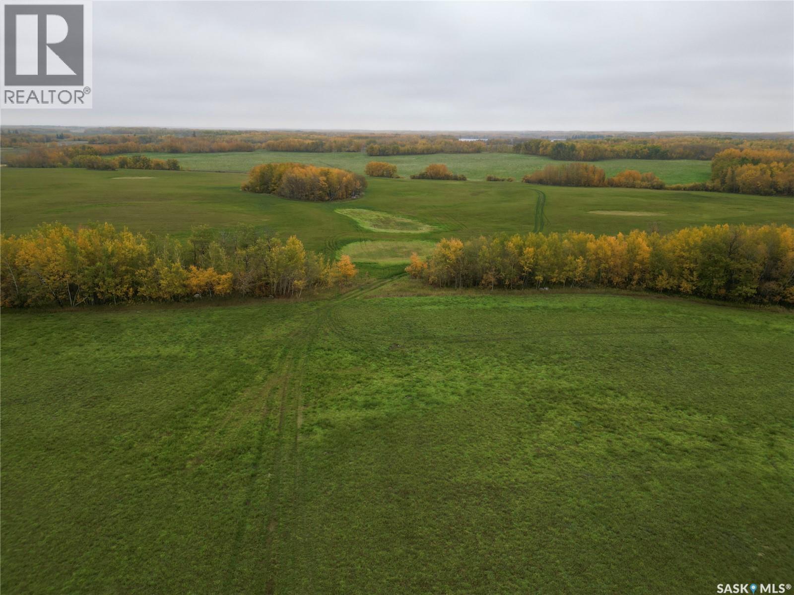 Larson Lake Ranch & Lakefront Property, Spiritwood Rm No. 496, Saskatchewan  S0J 2M0 - Photo 38 - SK996760