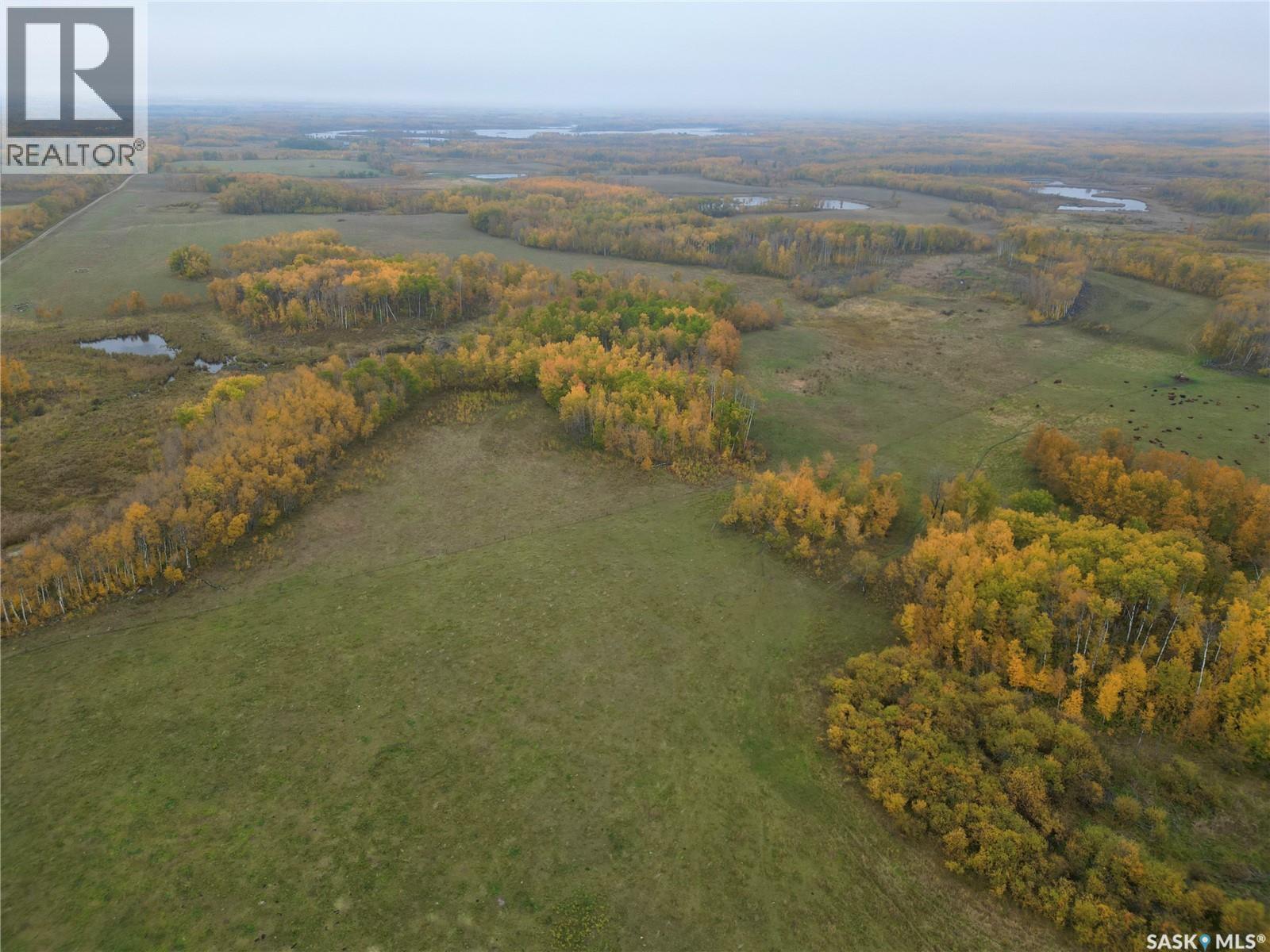 Larson Lake Ranch & Lakefront Property, Spiritwood Rm No. 496, Saskatchewan  S0J 2M0 - Photo 39 - SK996760