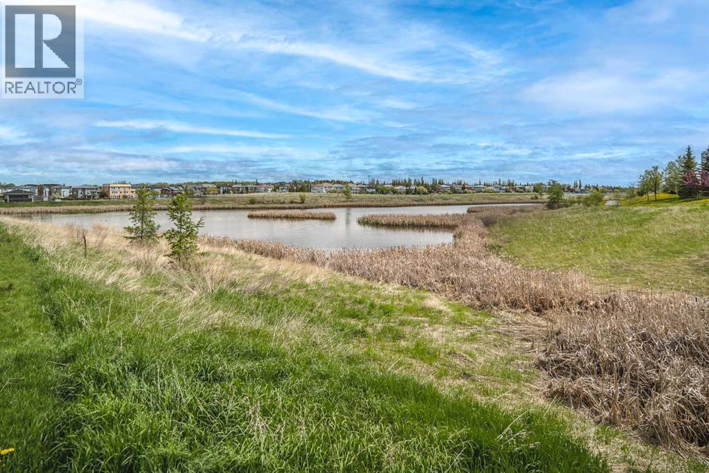 247 Lakepointe Drive, Chestermere, Alberta  T1X 0R3 - Photo 43 - A2262022