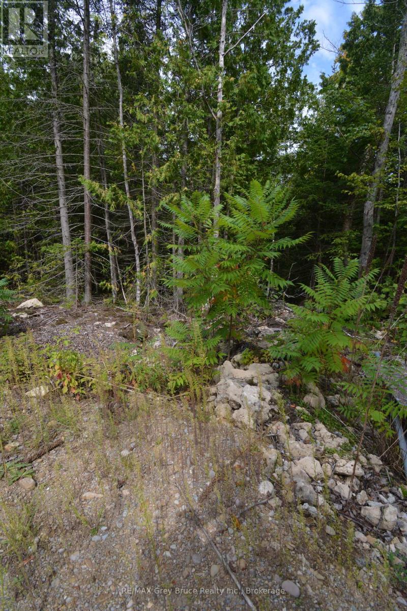 41 Noble Drive, Northern Bruce Peninsula, Ontario  N0H 1Z0 - Photo 16 - X12443474