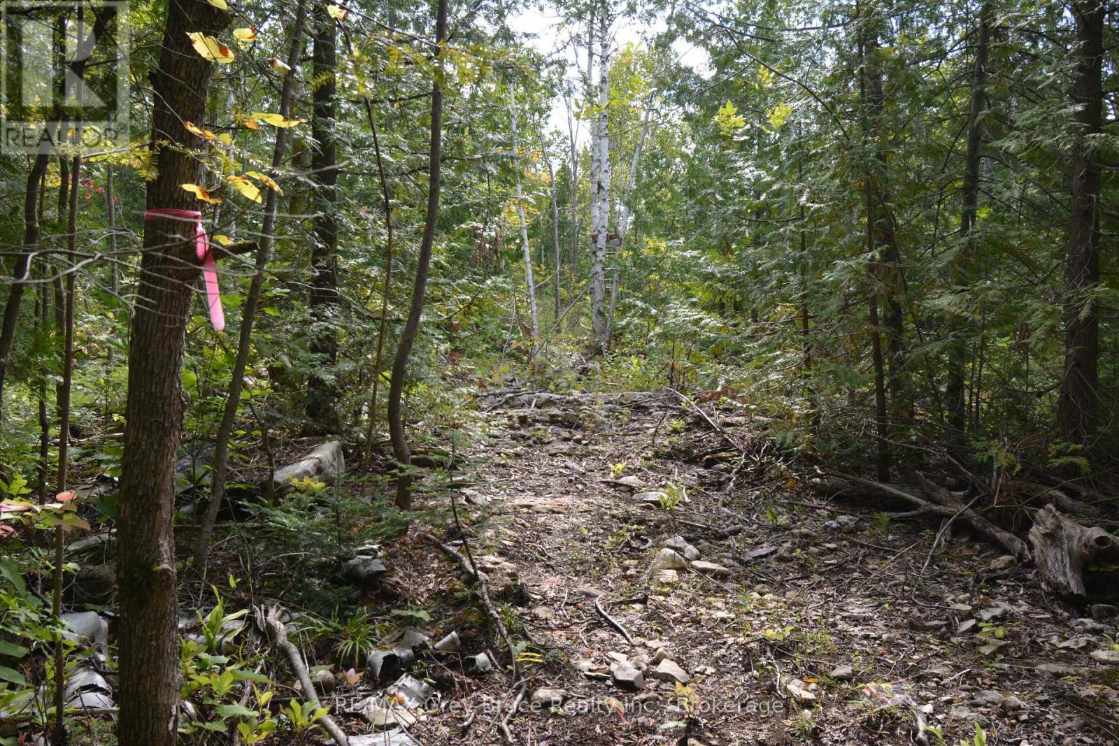 41 Noble Drive, Northern Bruce Peninsula, Ontario  N0H 1Z0 - Photo 17 - X12443474