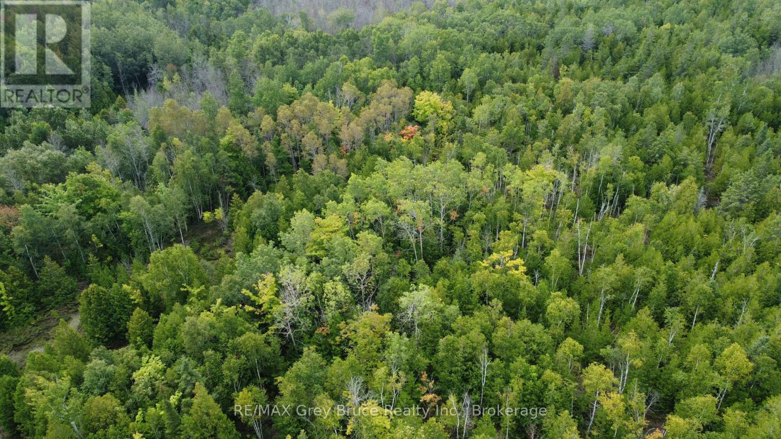 41 Noble Drive, Northern Bruce Peninsula, Ontario  N0H 1Z0 - Photo 28 - X12443474