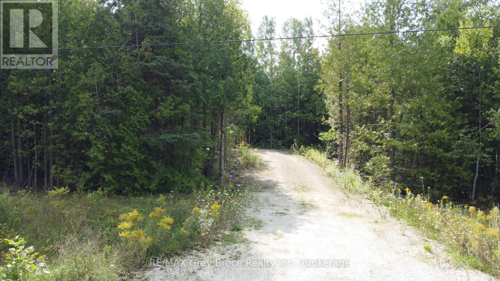 41 Noble Drive, Northern Bruce Peninsula, Ontario  N0H 1Z0 - Photo 4 - X12443474