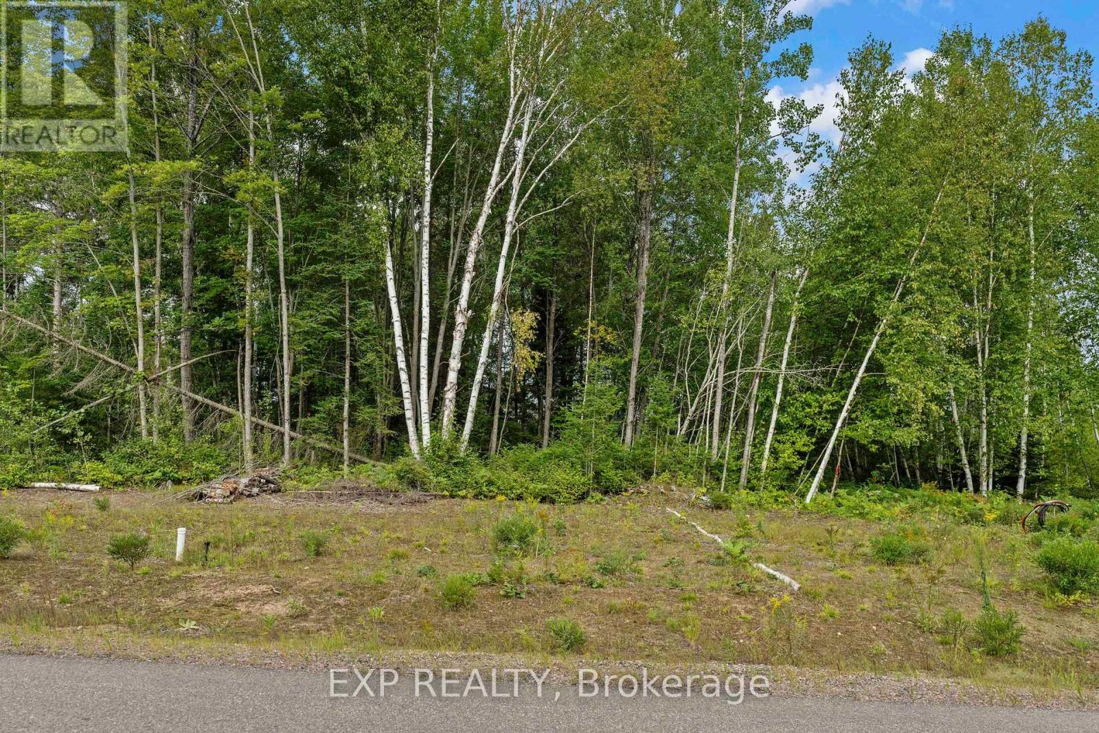 00lot14 Birchview Drive, Madawaska Valley, Ontario  K0J 1B0 - Photo 3 - X12045338