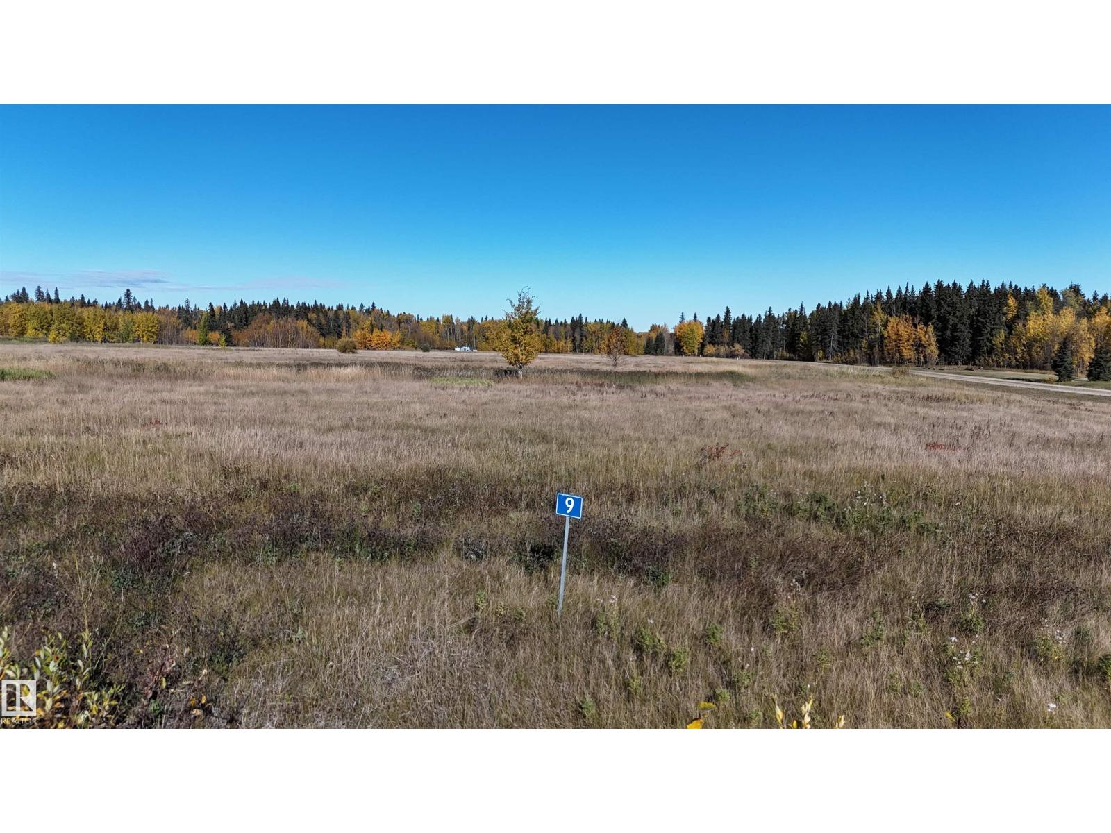 #9 49505 Rr 80, Rural Brazeau County, Alberta  T7A 1T1 - Photo 4 - E4460698