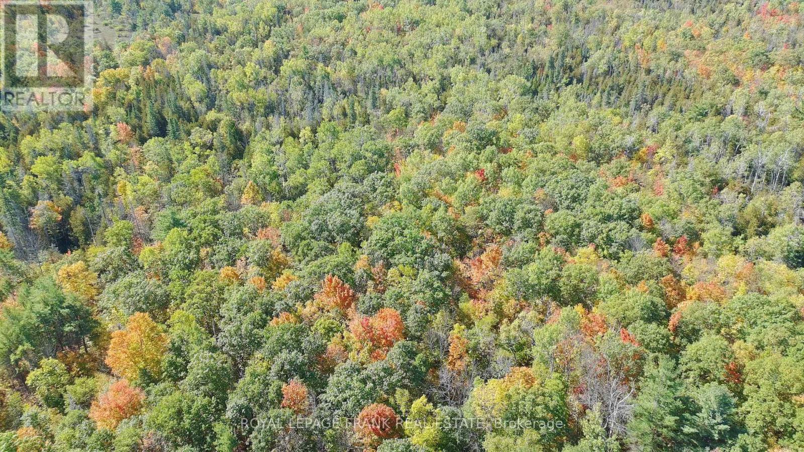 260 James Street, Marmora And Lake, Ontario  K0K 2M0 - Photo 45 - X12443710