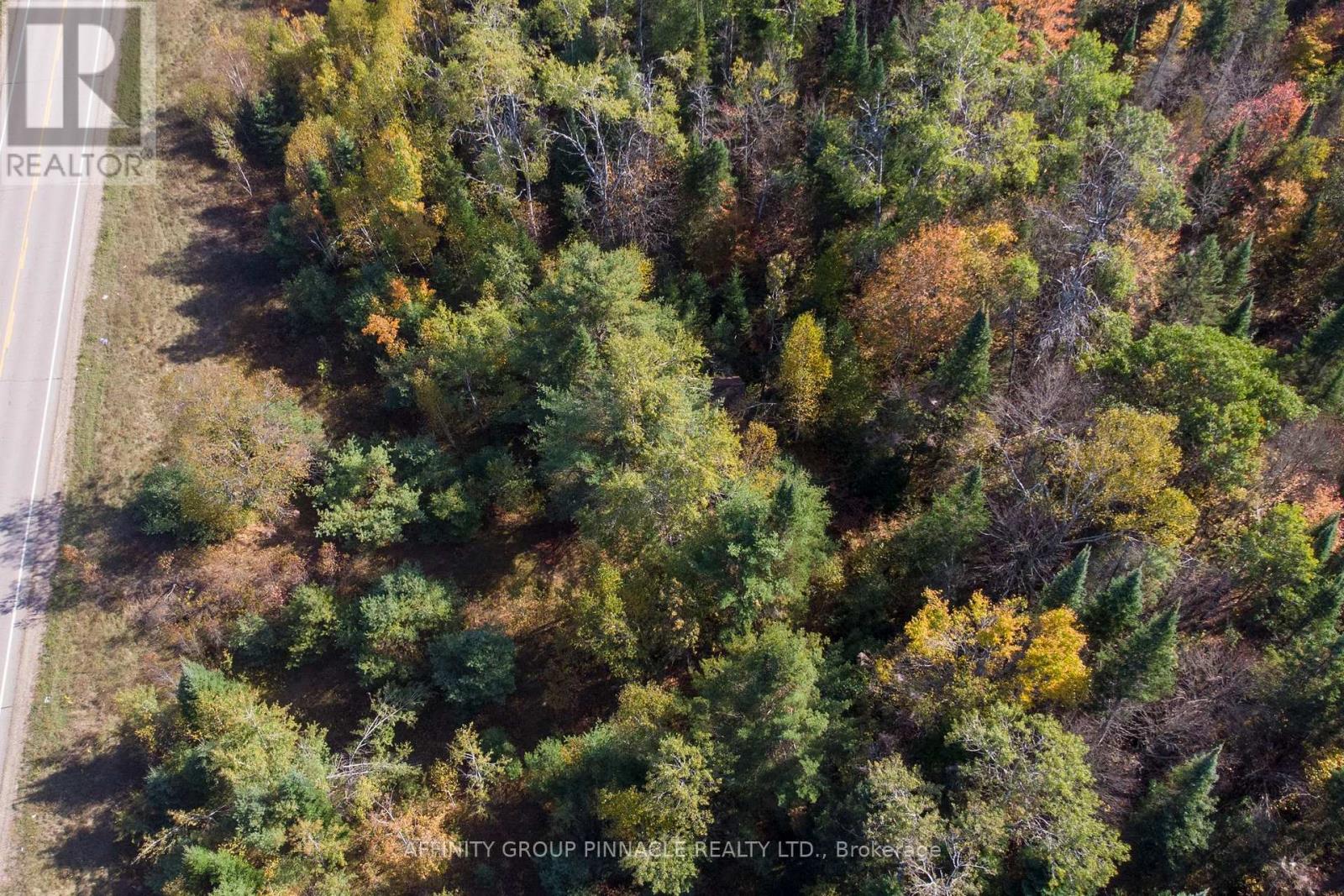 8544 County Rd 503, Highlands East, Ontario  K0M 1X0 - Photo 11 - X12443731