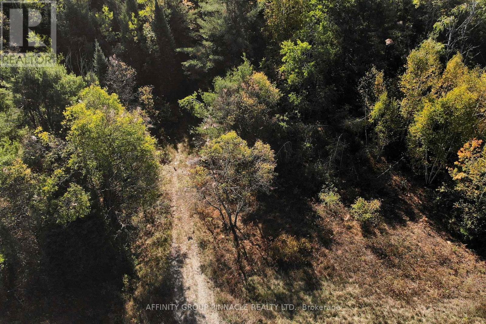 8544 County Rd 503, Highlands East, Ontario  K0M 1X0 - Photo 16 - X12443731