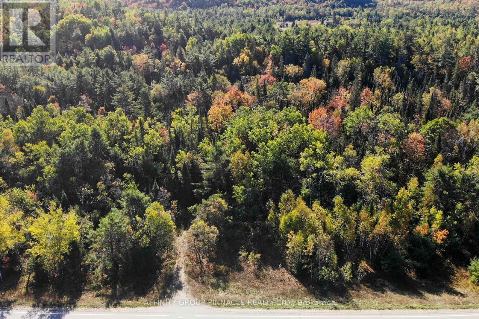 8544 County Rd 503, Highlands East, Ontario  K0M 1X0 - Photo 3 - X12443731