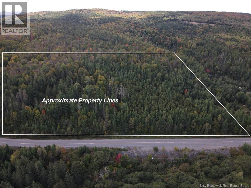 949 Route 865, Southfield, New Brunswick  E4E 5P5 - Photo 34 - NB127697