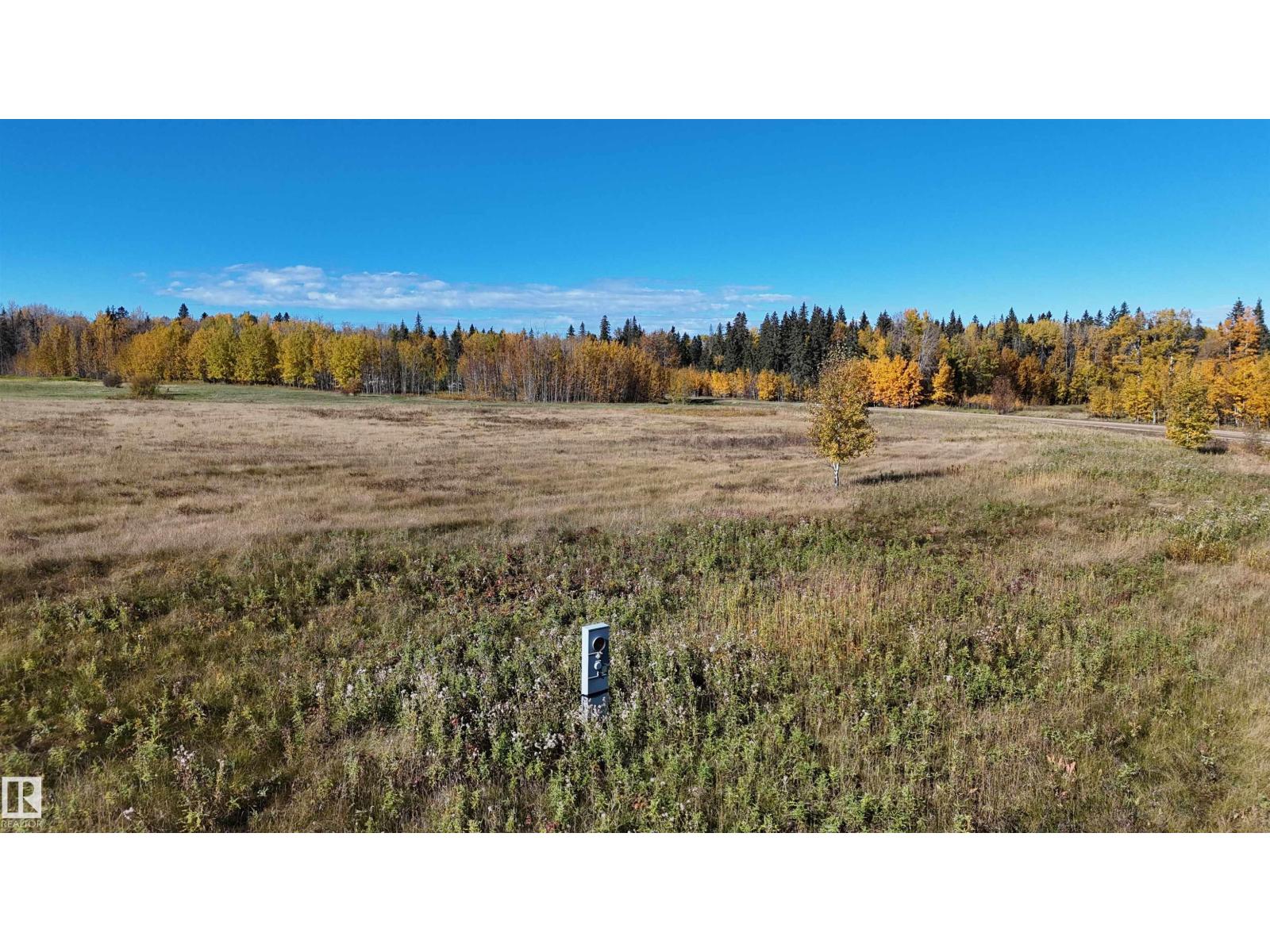 #208 49505 Rr 80, Rural Brazeau County, Alberta  T7A 1T1 - Photo 5 - E4460720