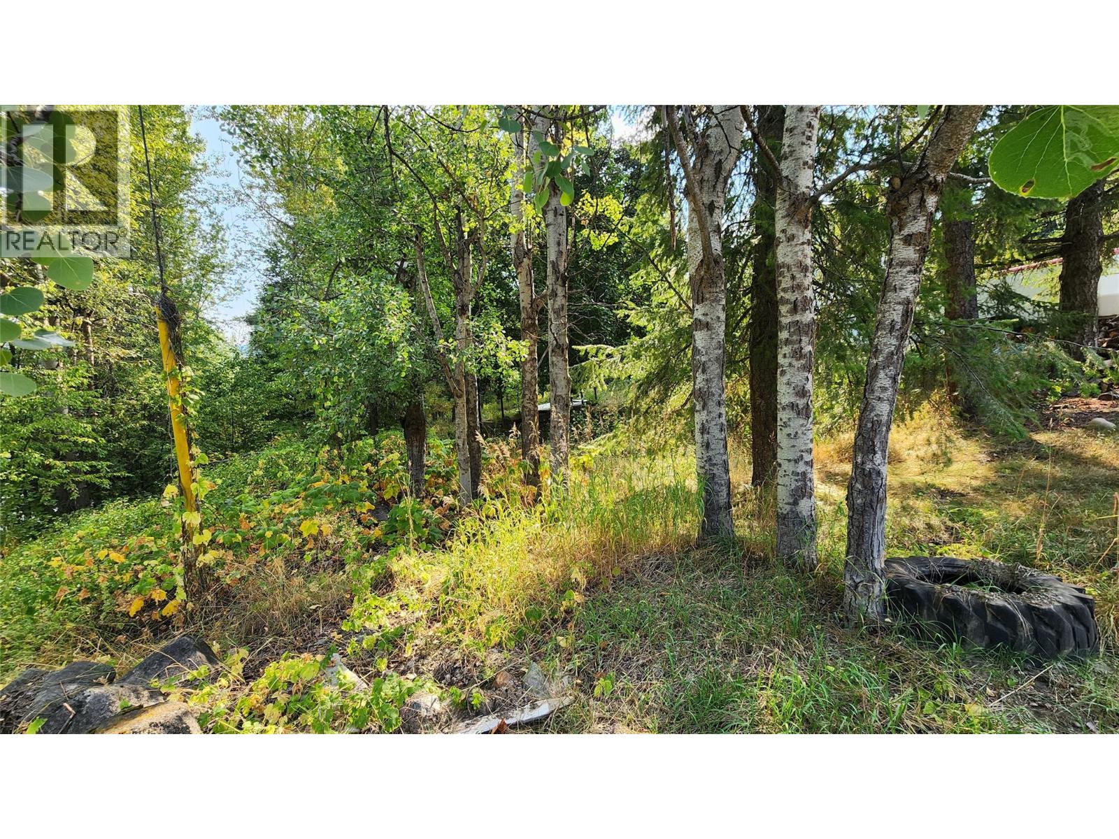 2061 Phoenix Avenue, Rossland, British Columbia  V0G 1Y0 - Photo 7 - 10362713