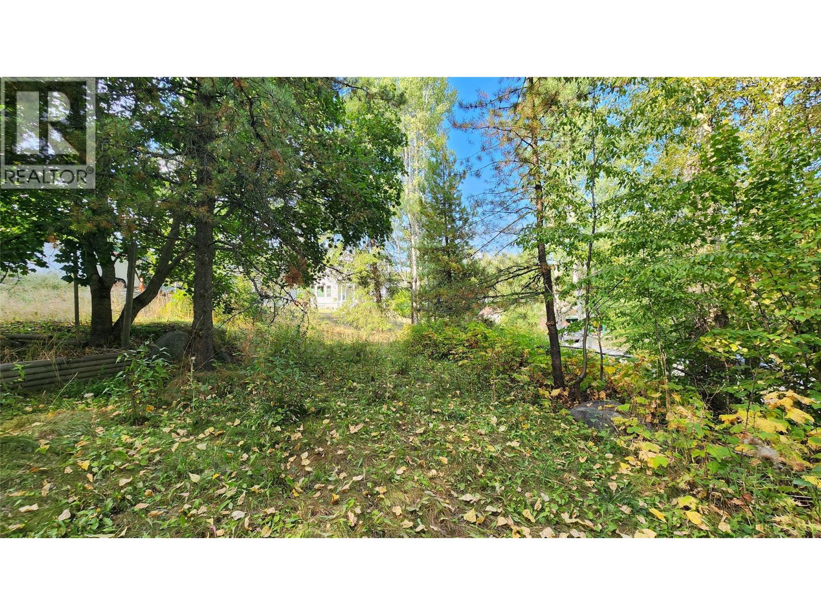 2061 Phoenix Avenue, Rossland, British Columbia  V0G 1Y0 - Photo 5 - 10362713