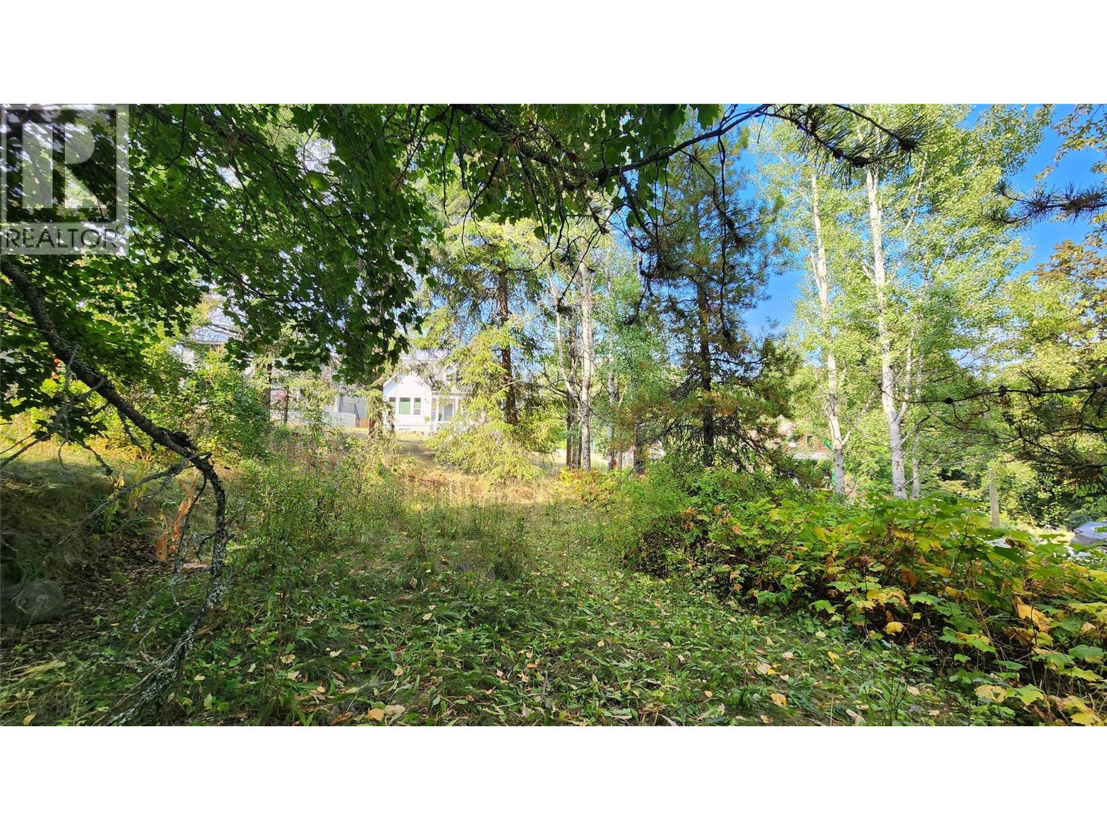 2061 Phoenix Avenue, Rossland, British Columbia  V0G 1Y0 - Photo 6 - 10362713