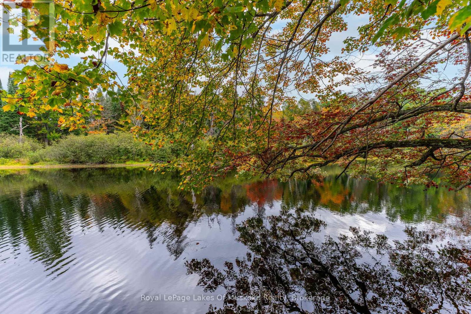 29 Ascott Lane, Huntsville, Ontario  P0B 1L0 - Photo 36 - X12443734