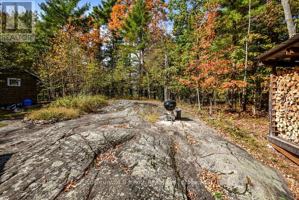 756 Browning Island, Bracebridge, Ontario  P1L 1X2 - Photo 30 - X12443779