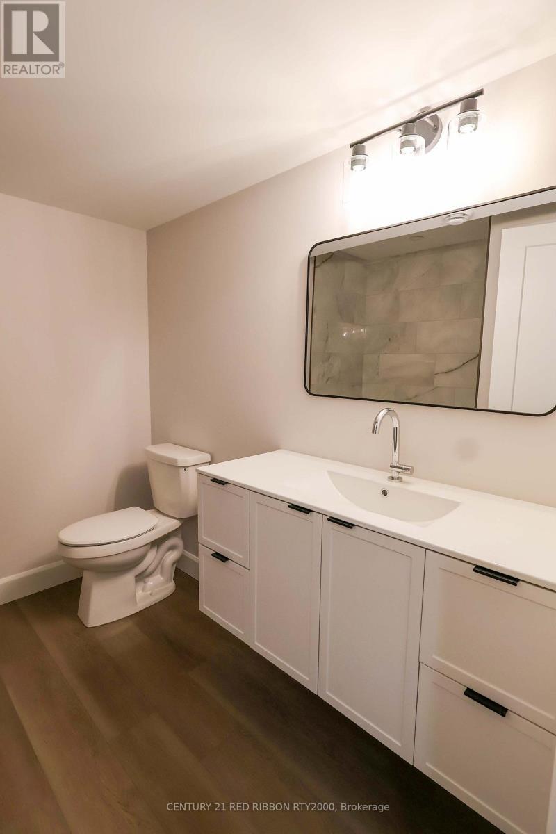 Lorem Ipsum Dolor Sit, Strathroy-Caradoc, Ontario  N7G  - Photo 37 - DEMO28949350