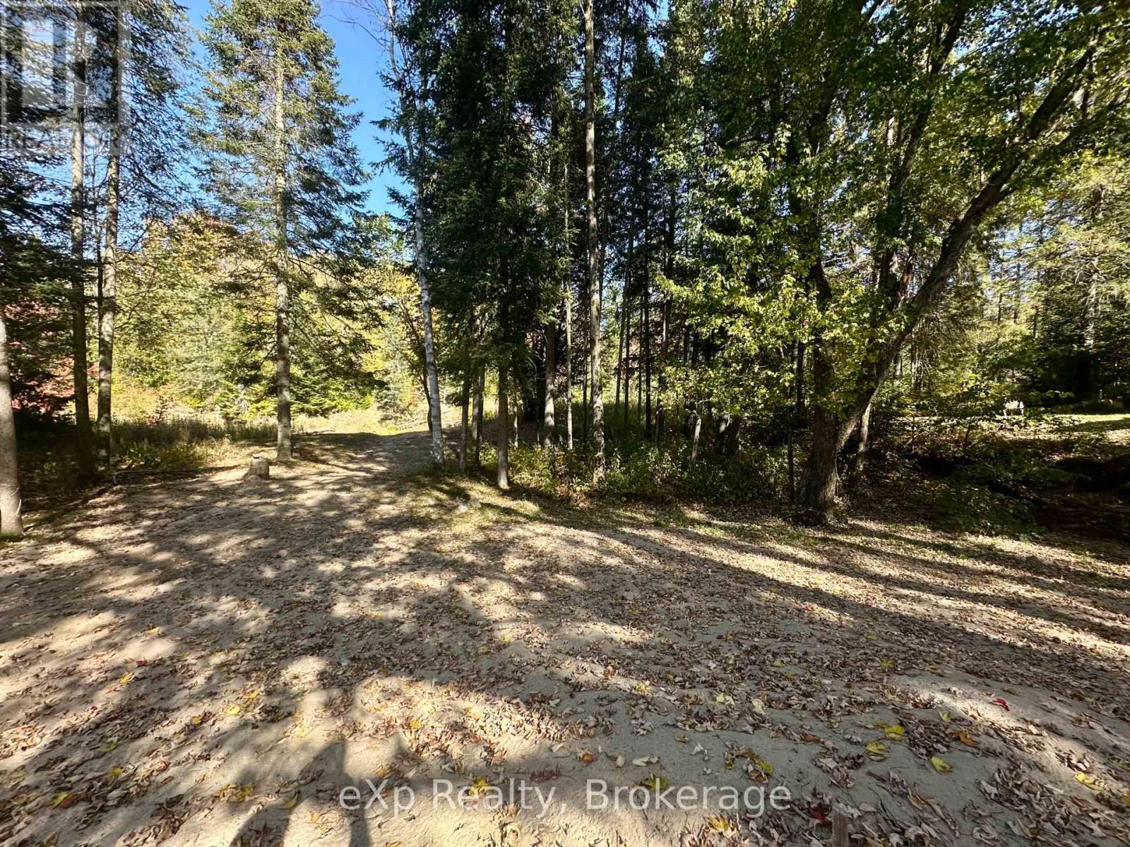 61 Robert Road W, Huntsville, Ontario  P1H 1L4 - Photo 33 - X12443364