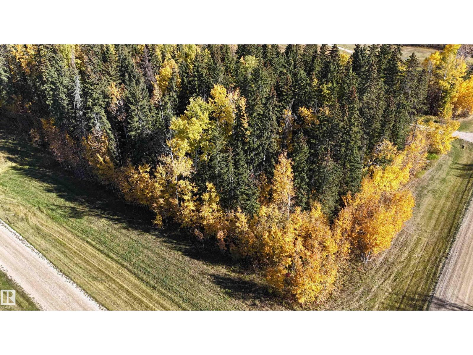 #111 49505 Rr 80, Rural Brazeau County, Alberta  T7A 1T1 - Photo 3 - E4460732