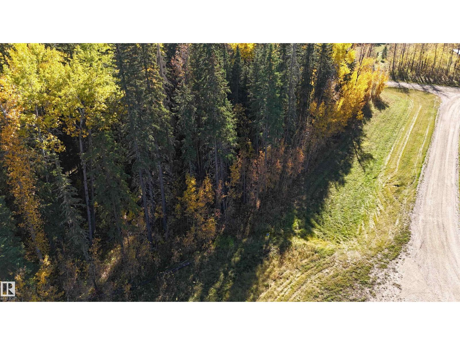 #111 49505 Rr 80, Rural Brazeau County, Alberta  T7A 1T1 - Photo 4 - E4460732