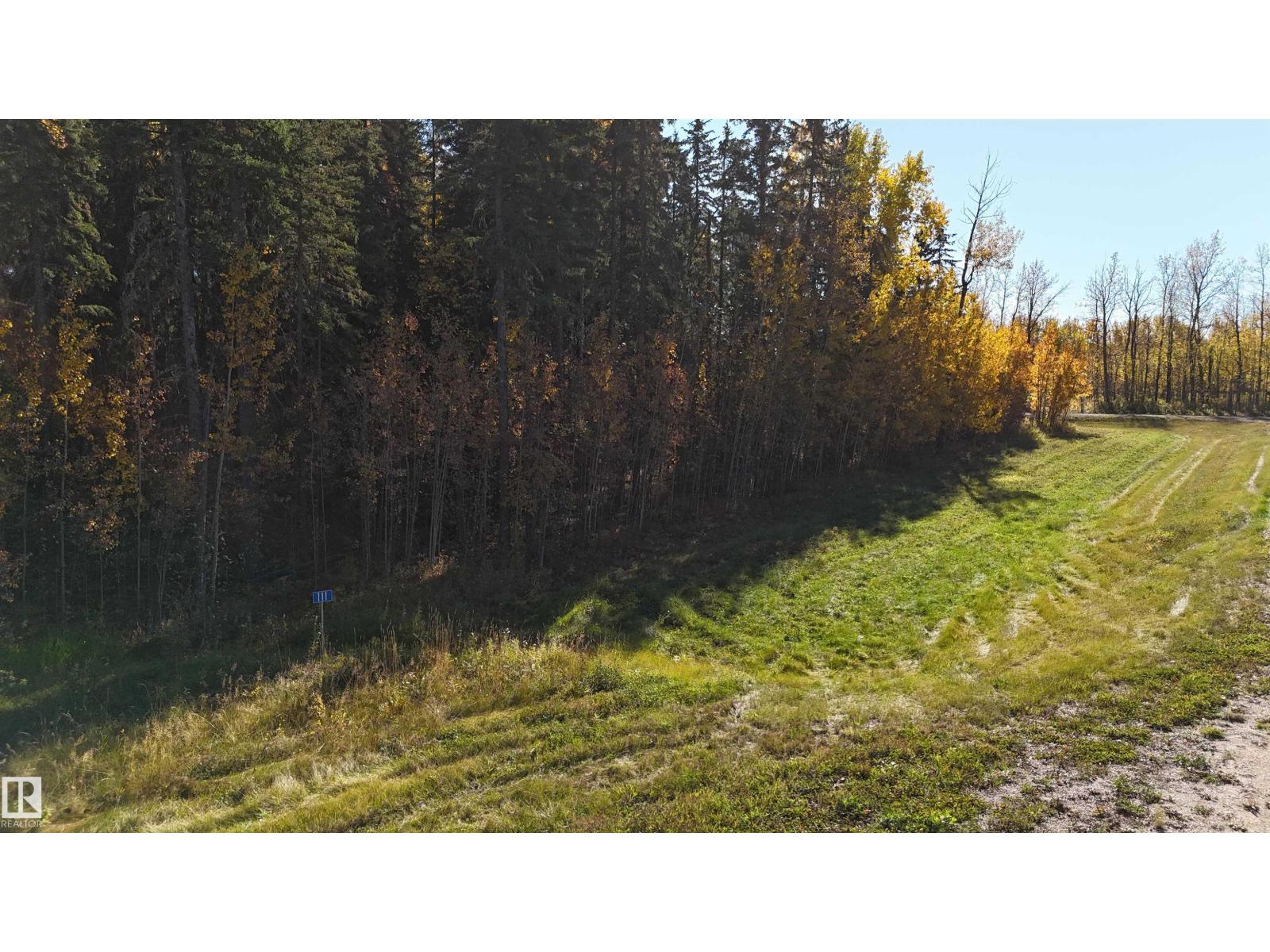 #111 49505 Rr 80, Rural Brazeau County, Alberta  T7A 1T1 - Photo 6 - E4460732