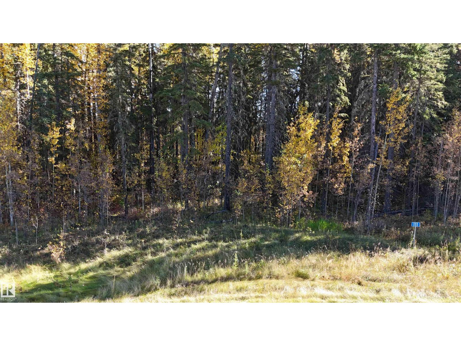 #111 49505 Rr 80, Rural Brazeau County, Alberta  T7A 1T1 - Photo 7 - E4460732