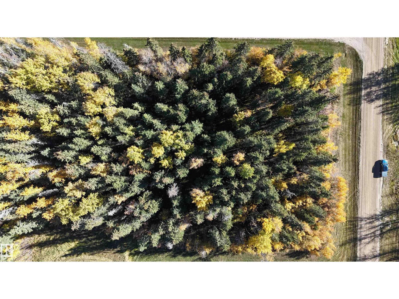 #111 49505 Rr 80, Rural Brazeau County, Alberta  T7A 1T1 - Photo 8 - E4460732