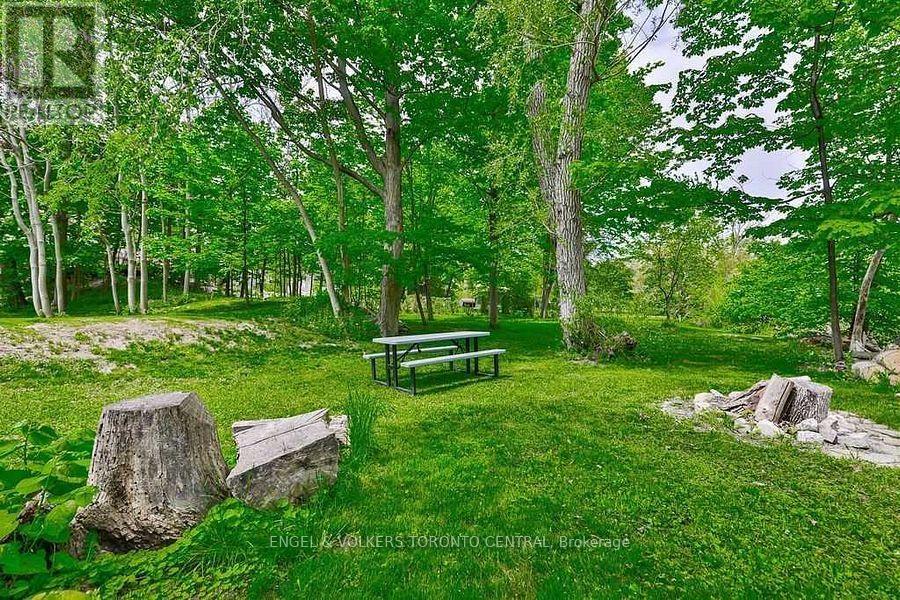 1327 Mineola Gardens, Mississauga, Ontario  L5G 3Y5 - Photo 9 - W12440369