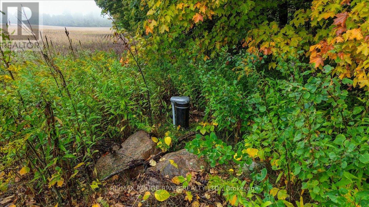 190 Mcbride Road, Alnwick/haldimand, Ontario K0K 1C0 - Photo 11 - X12436222