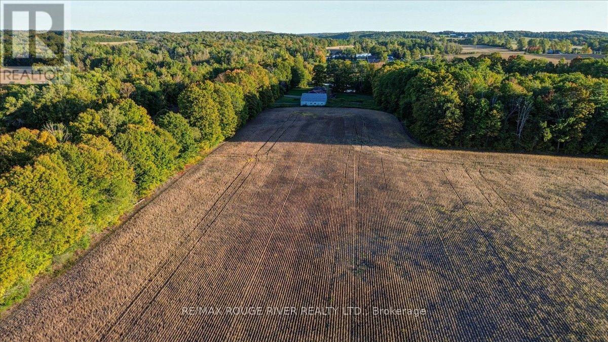 190 Mcbride Road, Alnwick/haldimand, Ontario K0K 1C0 - Photo 26 - X12436222