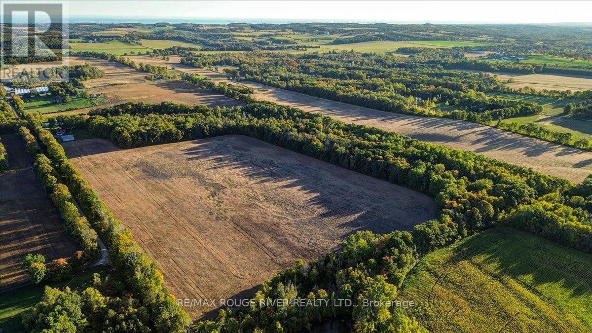 190 Mcbride Road, Alnwick/haldimand, Ontario K0K 1C0 - Photo 24 - X12436222